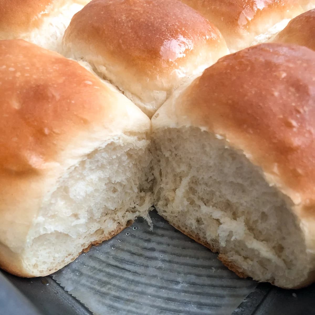 30 Minute Dinner Rolls With Soft, Fluffy Centers